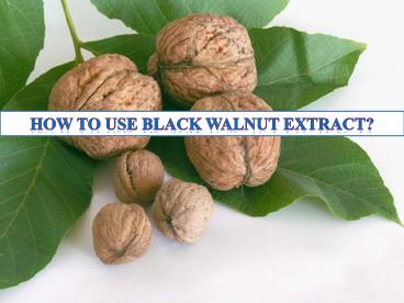 How to Use Black Walnut Extract?