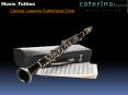 Clarinet Lessons Sutherland Shire PowerPoint PPT Presentation