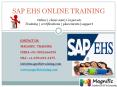 SAP EHS ONLINE TRAINING IN AUSTRALIA PowerPoint PPT Presentation