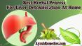 Best Herbal Process For Liver Detoxification At Home