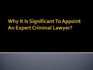 An Expert Criminal Lawyer For Your Case