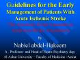 Nabiel abdel-Hakeem PowerPoint PPT Presentation