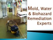 Mold, Water & Biohazard Remediation Experts