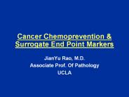 Cancer Chemoprevention