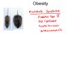 Obesity PowerPoint PPT Presentation