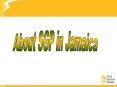 About SGP in Jamaica PowerPoint PPT Presentation