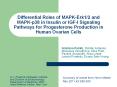 Differential Roles of MAPK-Erk1/2 and MAPK-p38 in Insulin or IGF-I Signaling Pathways for Progesterone Production in Human Ovarian Cells PowerPoint PPT Presentation