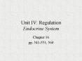 Unit IV: Regulation Endocrine System PowerPoint PPT Presentation