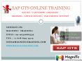 SAP GTS ONLINE TRAINING IN CANADA PowerPoint PPT Presentation