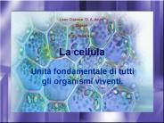 La cellula