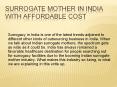 Surrogate Mothers From India PowerPoint PPT Presentation