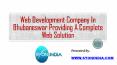 Web Development Company In Bhubaneswar Providing A Complete Web Solution PowerPoint PPT Presentation