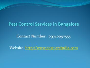Pest Control Services in Bangalore - 09740097555