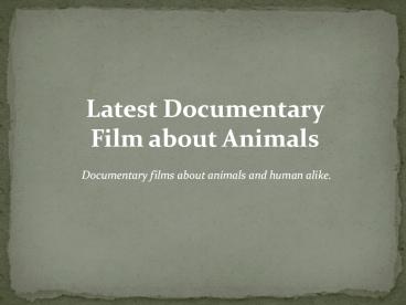 Animal Documentary
