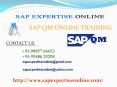 Sap qm online training PowerPoint PPT Presentation