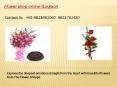 Flower Shop Online Gurgaon PowerPoint PPT Presentation