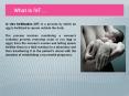 IVF Treatment In India- IVF Treatment in Delhi PowerPoint PPT Presentation