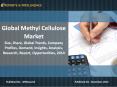 Latest report on Global Methyl Cellulose Market Size, Share, Forecast, 2014 Reports and Intelligence PowerPoint PPT Presentation