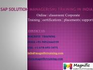 sap sm online training classes in uk