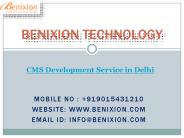 CMS Development Service in Delhi