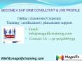 SAP CRM ONLINE TRAINING IN USA PowerPoint PPT Presentation