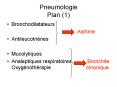 Pneumologie Plan (1) PowerPoint PPT Presentation