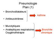 Pneumologie Plan (1)