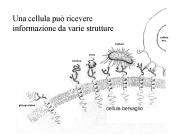 Presentazione di PowerPoint