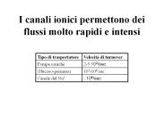 Presentazione di PowerPoint