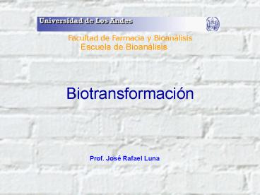 Biotransformaci