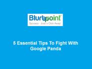 5 Essential Tips To Fight With Google Panda