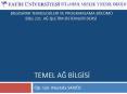TEMEL AG BILgIsI PowerPoint PPT Presentation