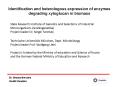 Identification and heterologous expression of enzymes degrading xyloglucan in biomass PowerPoint PPT Presentation