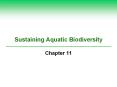 Sustaining Aquatic Biodiversity PowerPoint PPT Presentation