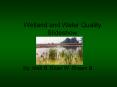Wetland and Water Quality Slideshow PowerPoint PPT Presentation