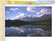 County of San Diego                                                                                  DEPARTMENT OF ENVIRONMENTAL HEALTH