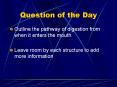 Question of the Day PowerPoint PPT Presentation