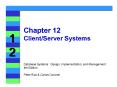 Chapter 12 Client/Server Systems PowerPoint PPT Presentation