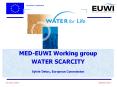 MED-EUWI Working group PowerPoint PPT Presentation
