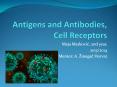 Antigens and Antibodies, Cell Receptors PowerPoint PPT Presentation