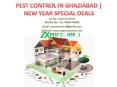 Pest control Ghaziabad | ZX Pest Control