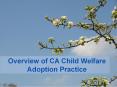 Overview of CA Child Welfare Adoption Practice PowerPoint PPT Presentation