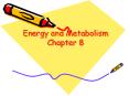 Energy and Metabolism Chapter 8 PowerPoint PPT Presentation
