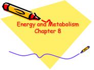 Energy and Metabolism Chapter 8