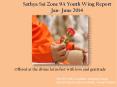 Sathya Sai Zone 9A Youth Wing Report PowerPoint PPT Presentation