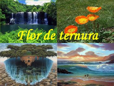 Flor de ternura