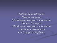 Sistema de conducci