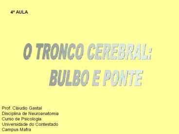 O TRONCO CEREBRAL: