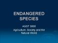 ENDANGERED SPECIES PowerPoint PPT Presentation