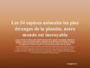 Les 34 esp